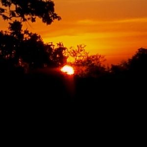 Meet your Posher, Benjamin